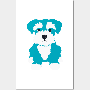 Sweet Turquoise Miniature Schnauzer Puppy on A Pink Background Posters and Art